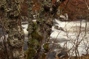 IMG_0375
