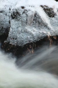 IMG_0631
