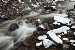 IMG_0667