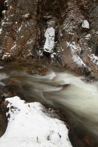 IMG_0681