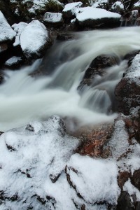 IMG_0746