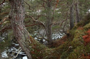 IMG_0752