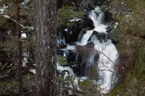 IMG_0773
