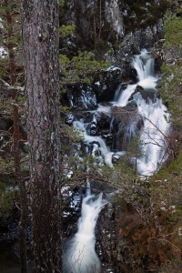 IMG_0779