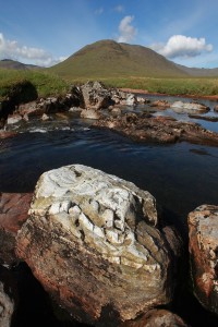 IMG_6000