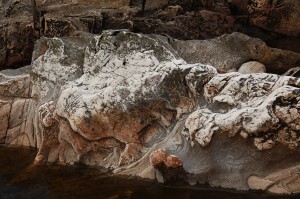 IMG_6079