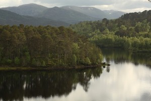 View west over Loch Beinn a'Mheadhoin, with the contrasting colours of the pines and birches at this time  of year clearly visible.