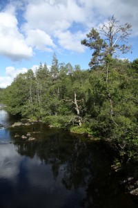 View downstream on the Affric River from the footbridge at the start of the trail to Coire Loch.
