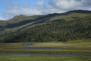 View south across Glen Strathfarrar to the old Scots pines of Inchvuilt Wood.