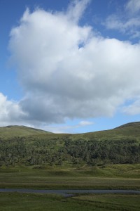 Another view across the glen to Inchvuilt Wood.