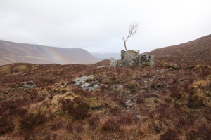 Another view of the rainbow, with the solitary rowan also in the photograph.
