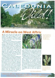 My article about the bluebells featured on the front cover of the Summer 2004 edition of our magazine, Caledonia Wild!
