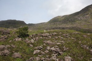 IMG_9374