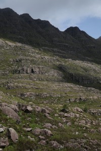 Here, a couple of solitary trees can be seen in the lower right of the photograph, below the towering slopes of Liathach.