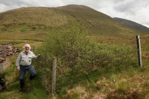 This photograph of the exclosure, with me in it for scale, was taken in early June 2012.
