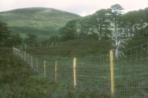 This photograph of the same section of the fence was taken in August 1990, just before its completion.