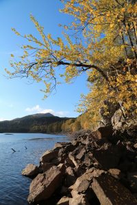 This is the view from the other side of the aspen trees, looking westwards on Loch Beinn a' Mheadhoin.