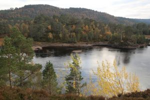 This is the view from above the aspen stand, looking across Loch Beinn a' Mheadhoin.