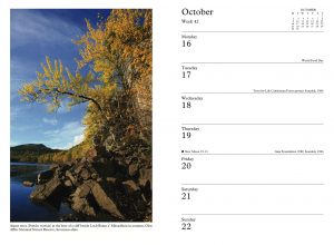 The same scene, photographed in 2005, features for the week beginning October 16th in the 2017 Trees for Life Engagement Diary.