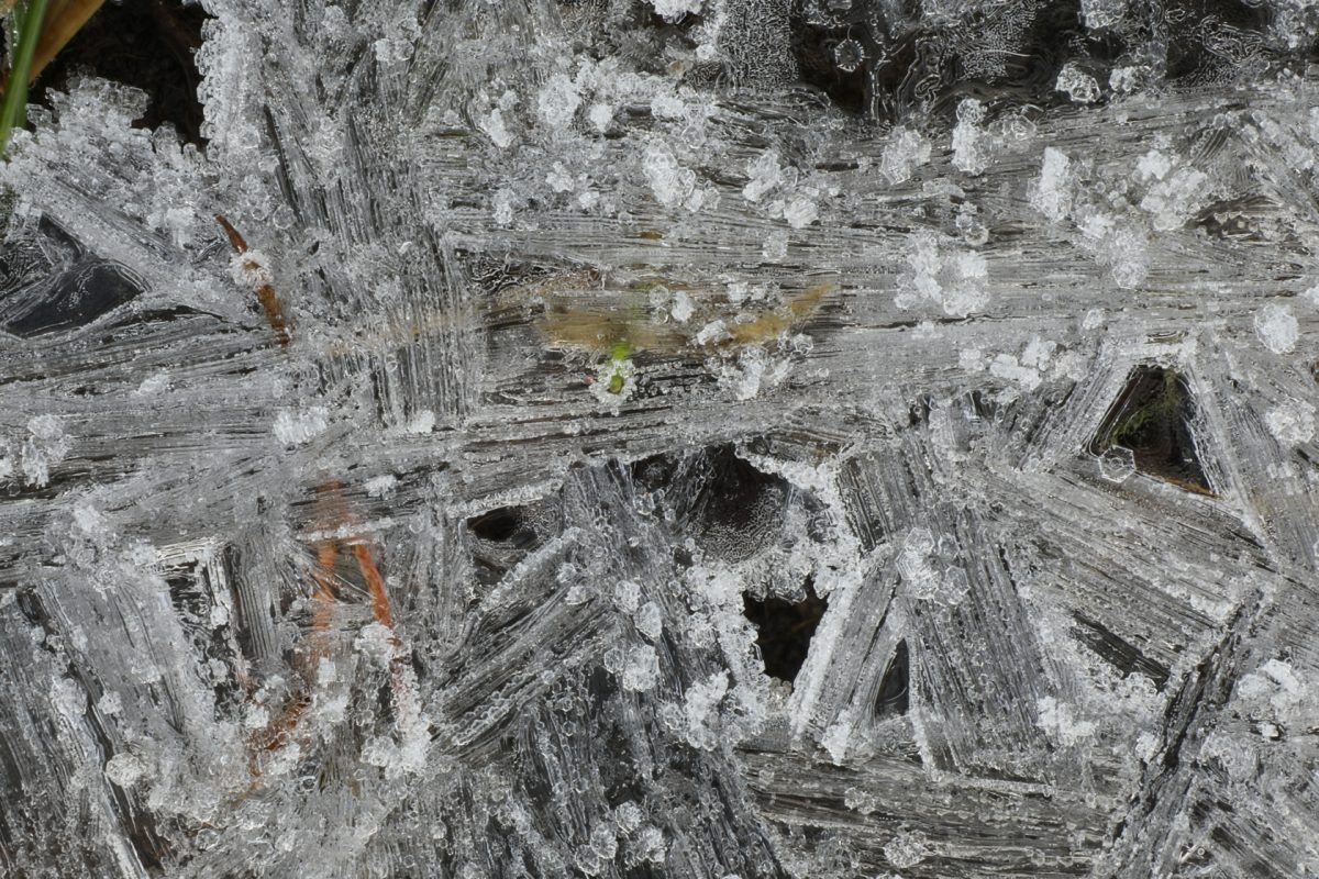ice formation; macro photograph; ice crystals