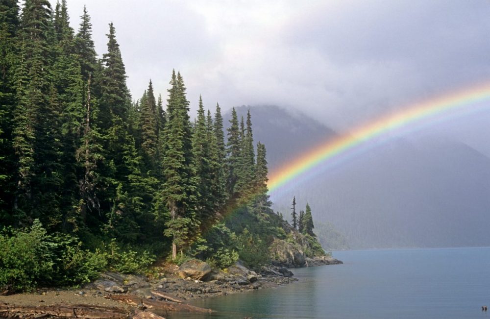Rainbow, Garibaldi Provincial Park, Garibaldi Lake, British Columbia, Canada.