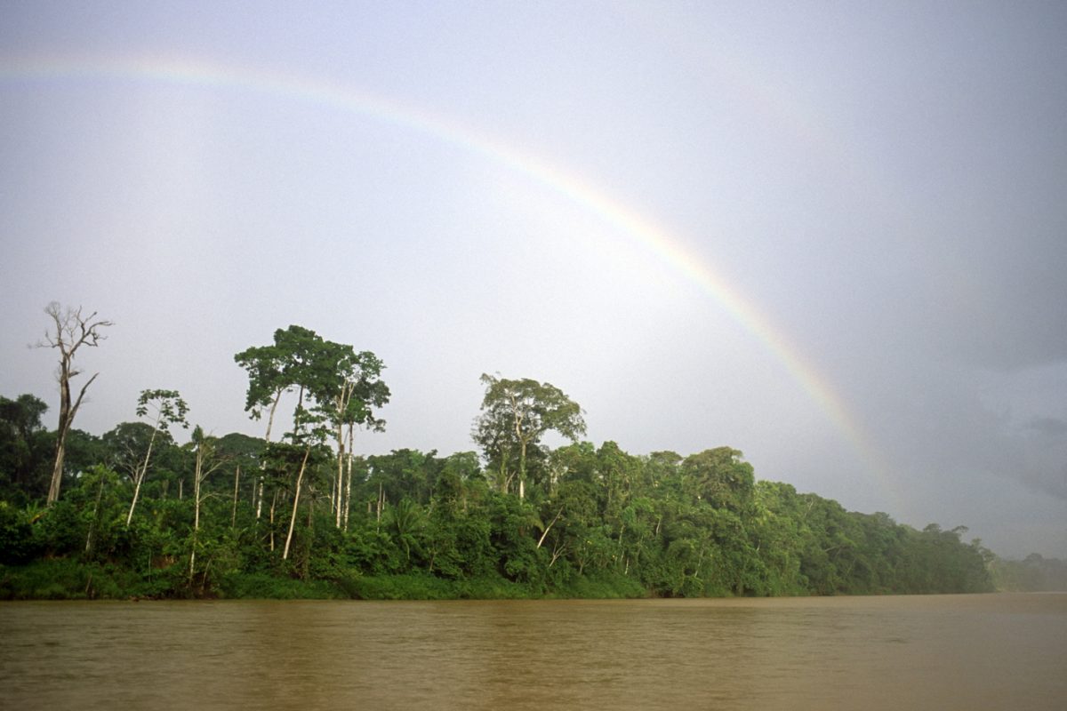 Rainbow, tropical rainforest, Amazon watershed,  Peru.