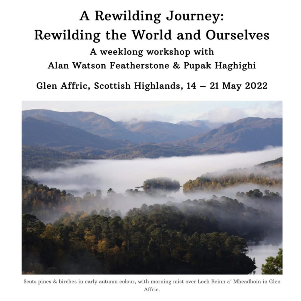 We have one place available on our workshop, ‘A Rewilding Journey’