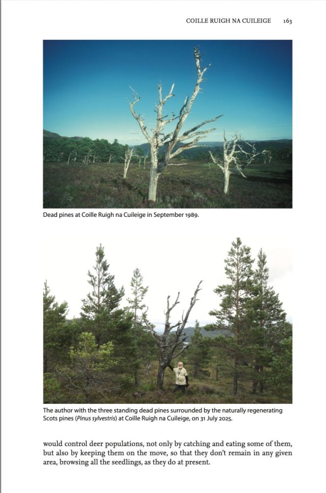 Glen Affric book – page 163